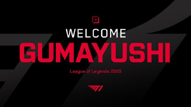 选择适合自 选择适合自