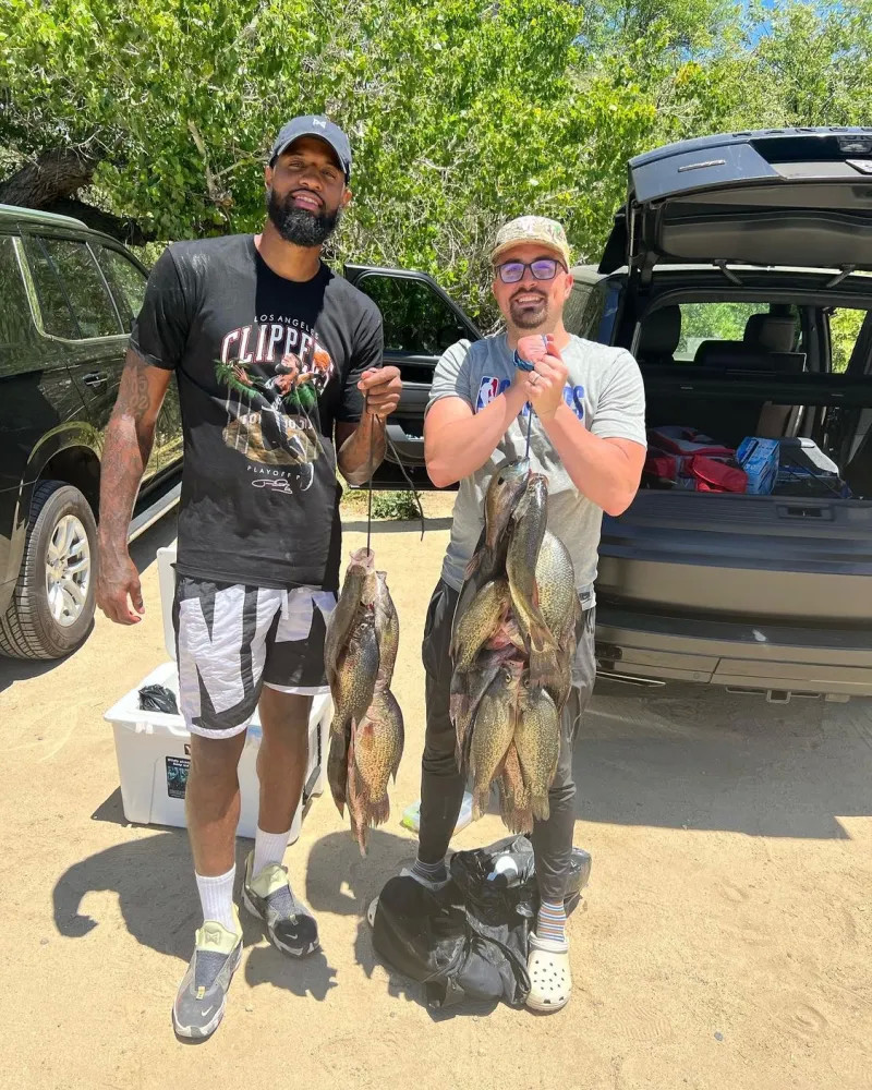 卫的球队 卫的球队